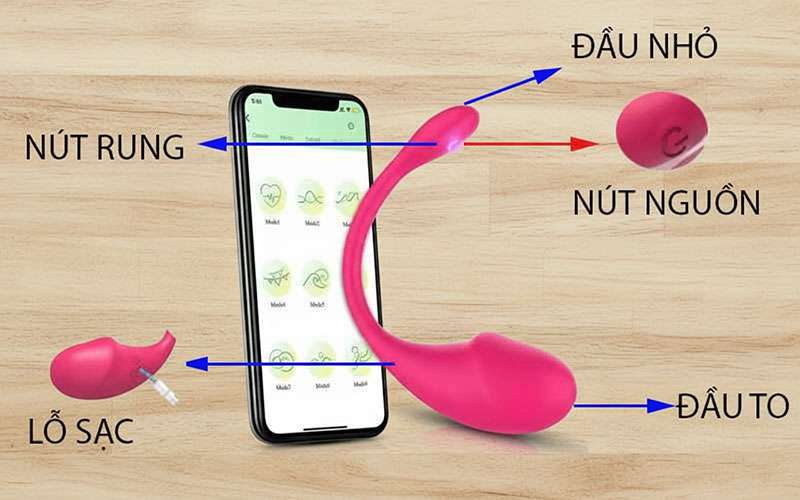 Hướng dẫn điều khiển trứng rung hai đầu vibrator
